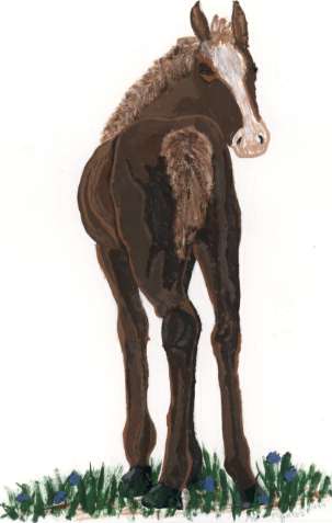horse